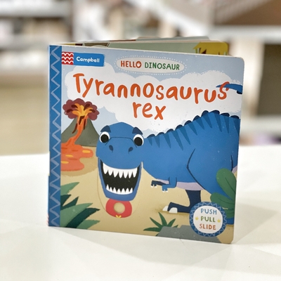 Livre polychrome adapté aux besoins du client de panneau d'histoire de dinosaure de taille pour des enfants