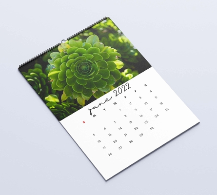 Calendrier mat de bureau de stratification imprimant les calendriers muraux mensuels 600-1000gsm