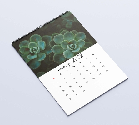 Calendrier mat de bureau de stratification imprimant les calendriers muraux mensuels 600-1000gsm