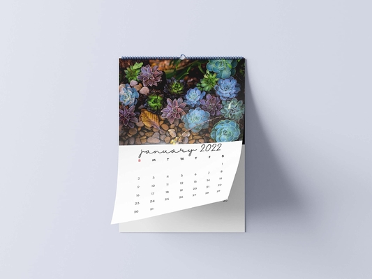 Calendrier mat de bureau de stratification imprimant les calendriers muraux mensuels 600-1000gsm