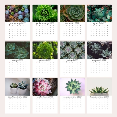 Calendrier mat de bureau de stratification imprimant les calendriers muraux mensuels 600-1000gsm