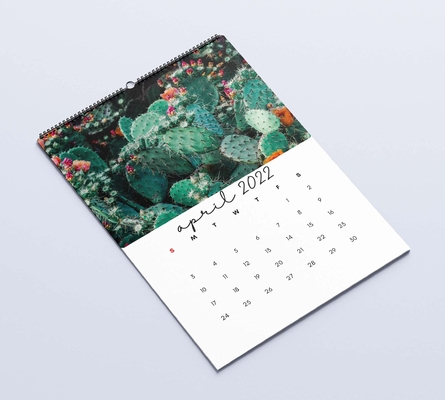 Calendrier mat de bureau de stratification imprimant les calendriers muraux mensuels 600-1000gsm